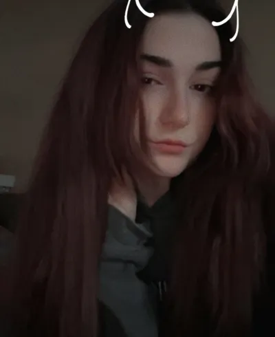 @paletreasure