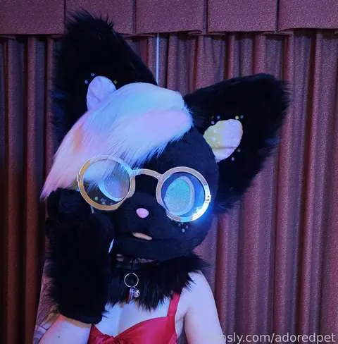 @adoredpet