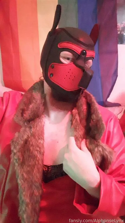 @AlphonseLynx