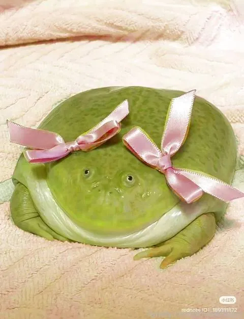 @AnneKitten