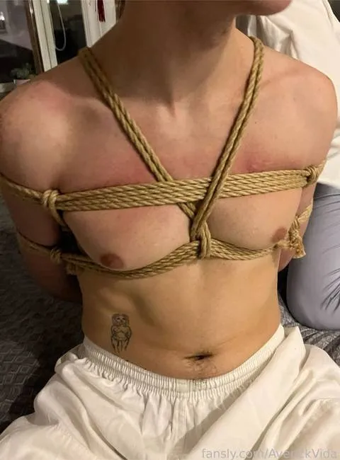 @AverickVida