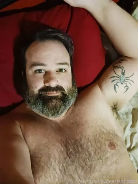 @bearishbidad
