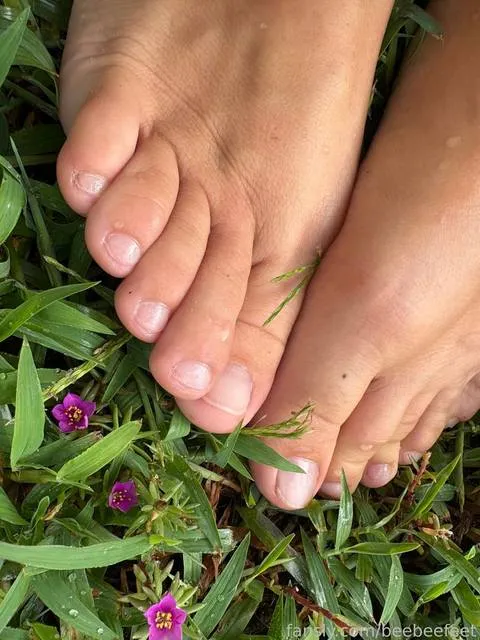 @beebeefeet