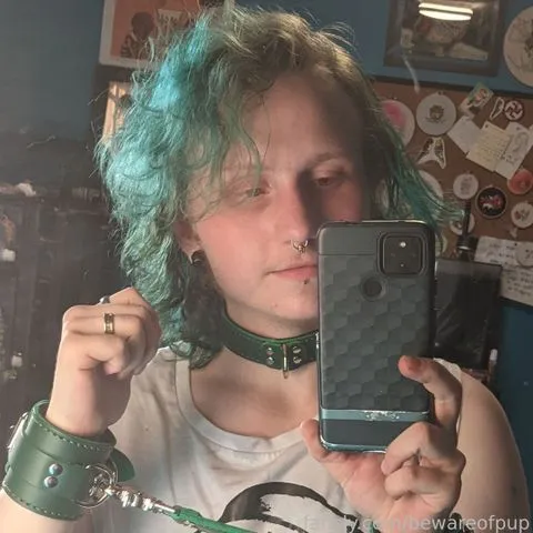 @bewareofpup