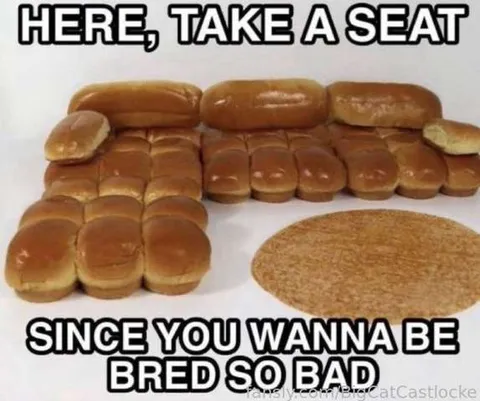 @BigCatCastlocke