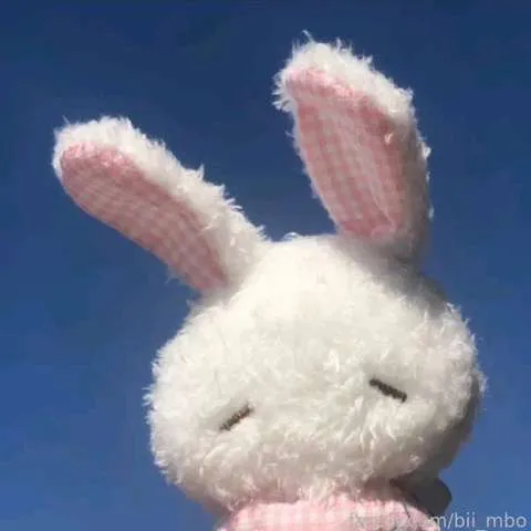 @bii_mbo