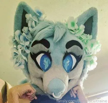@Bluebiscuitraine