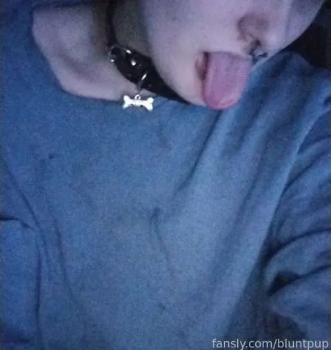 @bluntpup