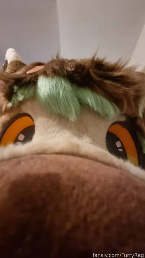 @BouncyOrange