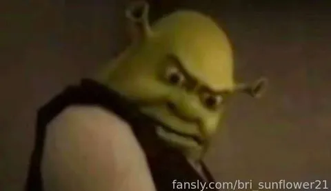 @bri_sunflower21