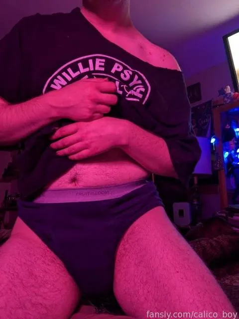 @calico_boy