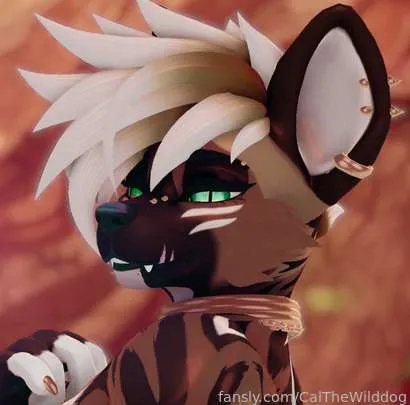 @CalTheWilddog