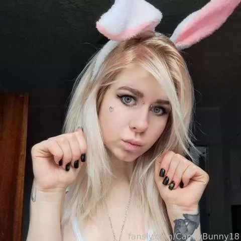 @CandyBunny18