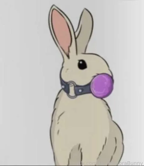 @CarrotzforBunny