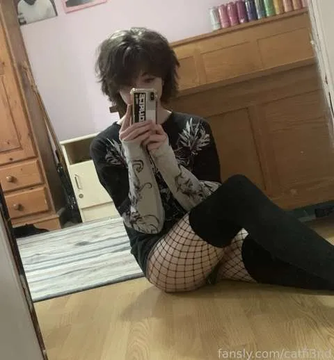 @catfi3nd