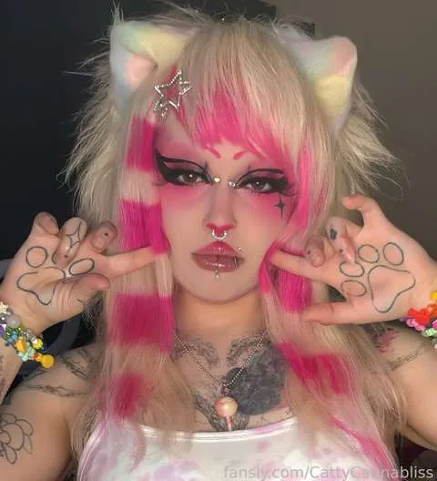 @CattyCannabliss