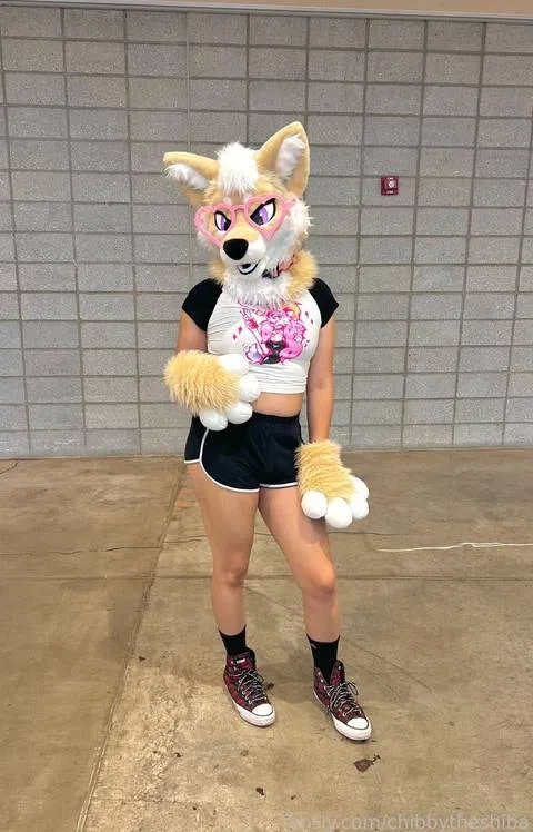 @chibbytheshiba