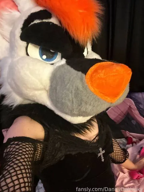 @DannyDaHusky