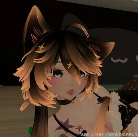 @denkikoneko