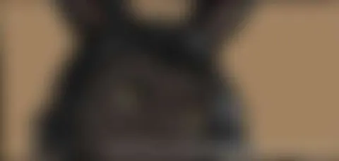 @Dezzy742