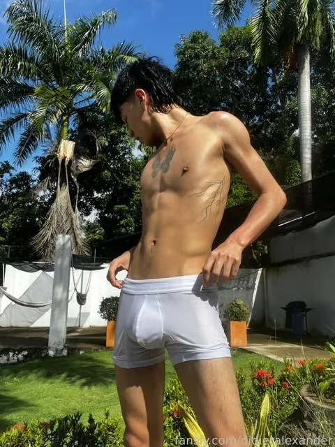 @didieralexander