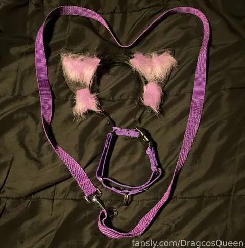 @DragcosQueen