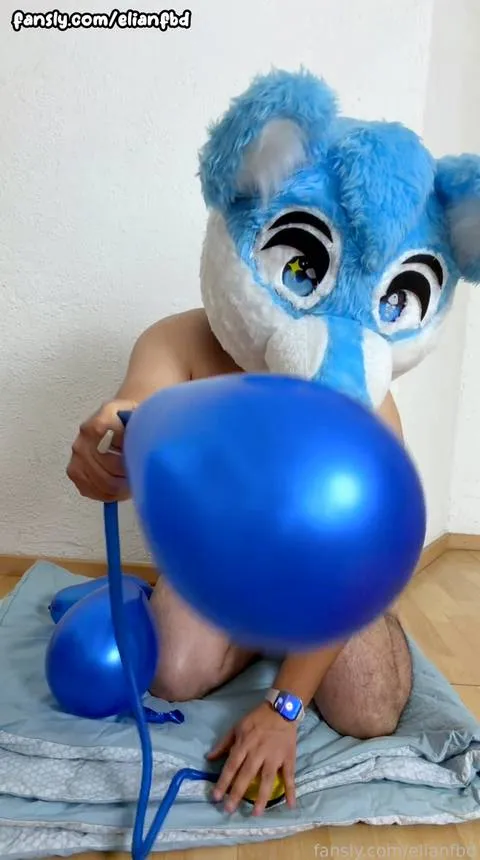 @elianfbd