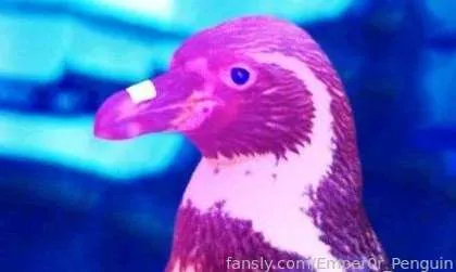 @Emper0r_Penguin