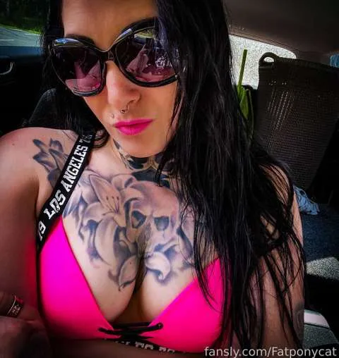 @Fatponycat
