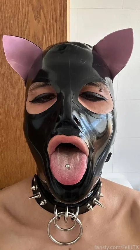 @FeliLTX