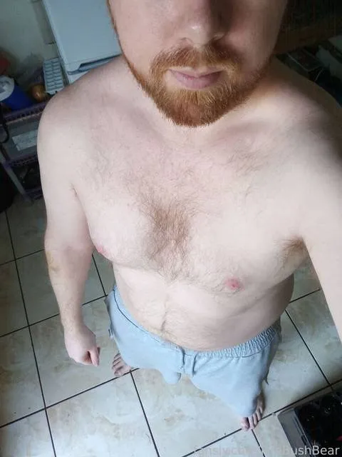 @FireBushBear