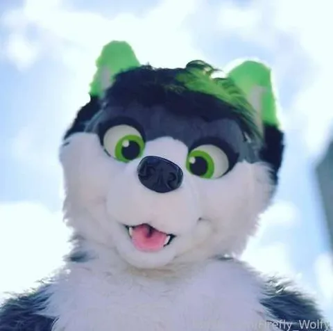 @Firefly_Wolfy