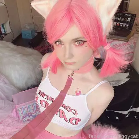 @foggycat