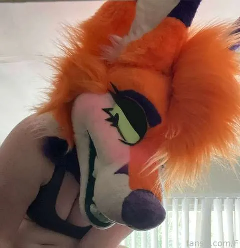 @Foxi_Boxi