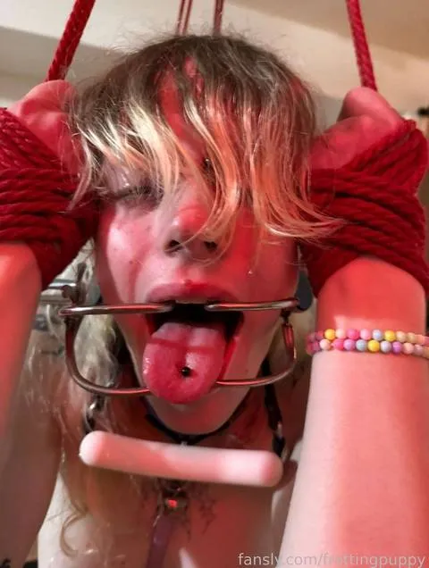 @frottingpuppy
