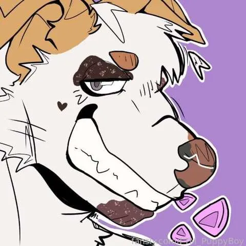 @FTM_PuppyBoy