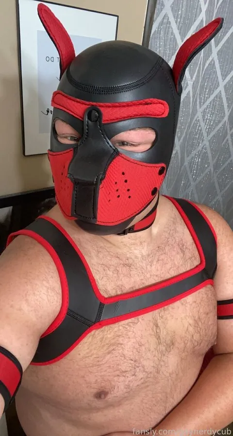 @gaynerdycub