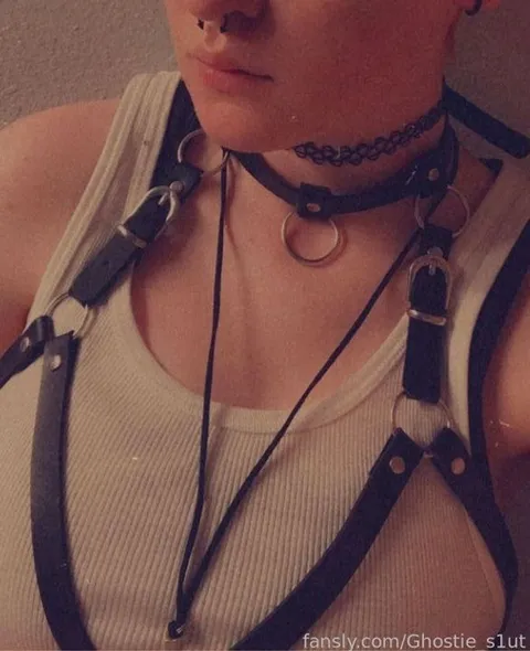@Ghostie_s1ut