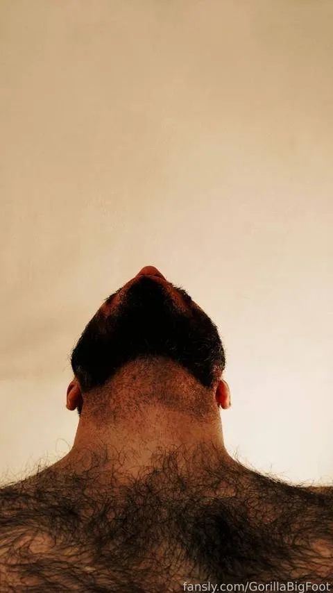 @GorillaBigFoot