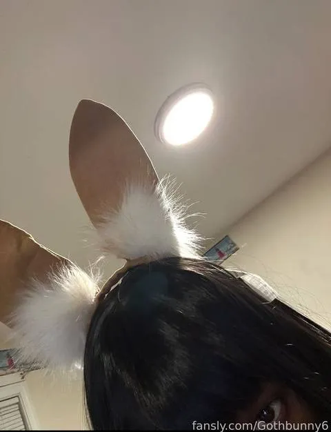 @Gothbunny6