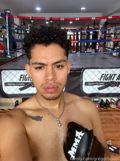 @gregorboxer