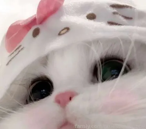 @gruesomepuppy