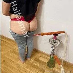 @haifaamar