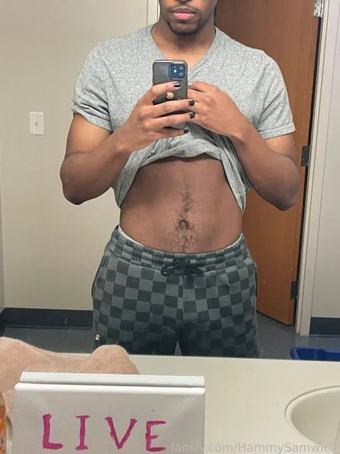 @HammySamwich