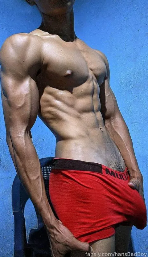 @hansBadBoy