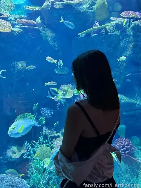 @Hartlibangg