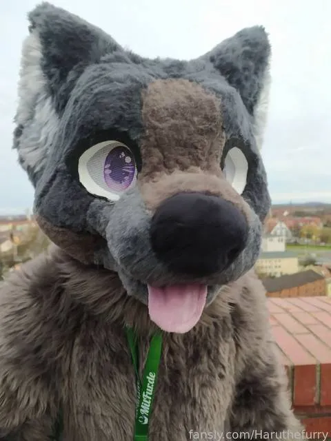 @Haruthefurry