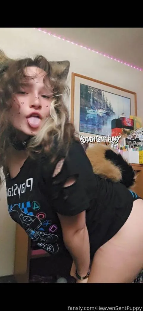 @HeavenSentPuppy