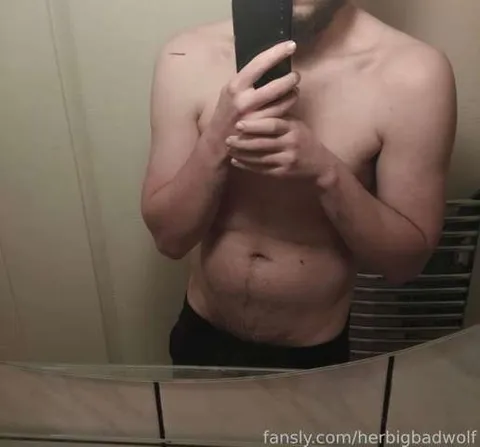 @herbigbadwolf