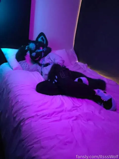 @ItsssWolf